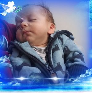 Meet your Posher, Justin